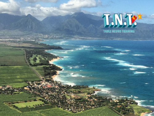 Workshop - Maui - May - 2023